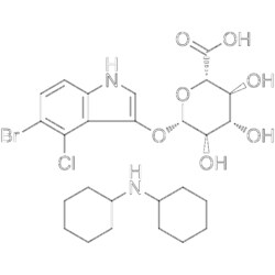 MedChemExpress X-Gluc Dicyclohexylamine 100 mg | Buy Online | MedChemExpress | Fisher Scientific