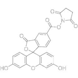 MedChemExpress 5-FAM SE 100 mg | Buy Online | MedChemExpress | Fisher Scientific