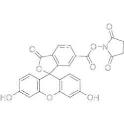 MedChemExpress 6-FAM SE 100 mg | Buy Online | MedChemExpress | Fisher Scientific