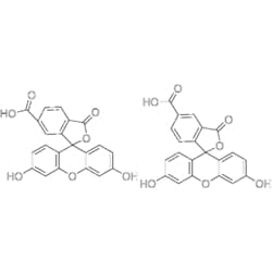 MedChemExpress 5(6)-Carboxyfluorescein 1 g | Buy Online | MedChemExpress | Fisher Scientific