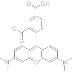 MedChemExpress 5-TAMRA 10 mg | Buy Online | MedChemExpress | Fisher Scientific