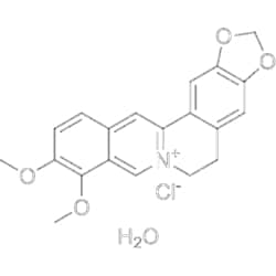 MedChemExpress Berberine chloride hydrate 5 g | Buy Online | MedChemExpress | Fisher Scientific