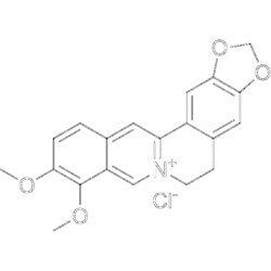 MedChemExpress Berberine chloride 100 mg | Buy Online | MedChemExpress | Fisher Scientific