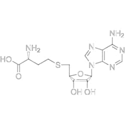 MedChemExpress SAH 10 mg | Buy Online | MedChemExpress | Fisher Scientific