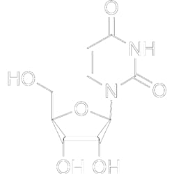 MedChemExpress Uridine 100 mg | Buy Online | MedChemExpress | Fisher Scientific