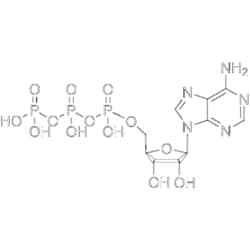 MedChemExpress ATP 500 mg | Buy Online | MedChemExpress | Fisher Scientific