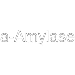 MedChemExpress -Amylase 1 g:Biochemical Reagents, Quantity: 1g