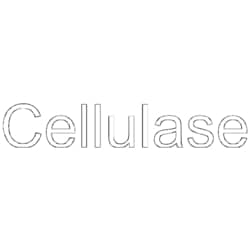 MedChemExpress Cellulase 5 g | Buy Online | MedChemExpress | Fisher Scientific
