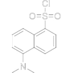 MedChemExpress Dansyl chloride 100 mg | Buy Online | MedChemExpress | Fisher Scientific