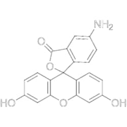 MedChemExpress 5-Aminofluorescein 1 g | Buy Online | MedChemExpress | Fisher Scientific