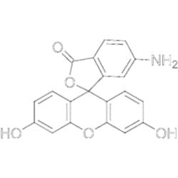 MedChemExpress 6-Aminofluorescein 1 g | Buy Online | MedChemExpress | Fisher Scientific