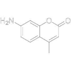 MedChemExpress 7-Amino-4-methylcoumarin 50 mg | Buy Online | MedChemExpress | Fisher Scientific