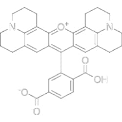 MedChemExpress 6-ROX 5 mg | Buy Online | MedChemExpress | Fisher Scientific