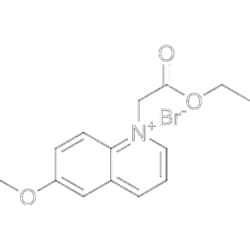 MedChemExpress MQAE 100 mg | Buy Online | MedChemExpress | Fisher Scientific