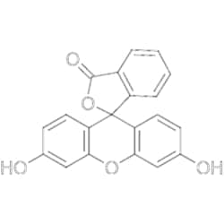 MedChemExpress Fluorescein 1 g | Buy Online | MedChemExpress | Fisher Scientific