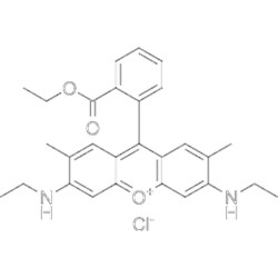 MedChemExpress Rhodamine 6G 1 g | Buy Online | MedChemExpress | Fisher Scientific