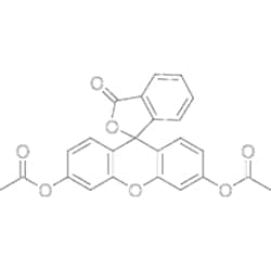 MedChemExpress Fluorescein Diacetate 5 g | Buy Online | MedChemExpress | Fisher Scientific