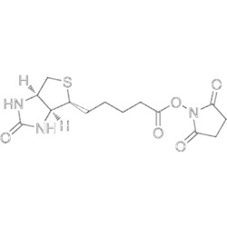 MedChemExpress Biotin NHS 200 mg | Buy Online | MedChemExpress | Fisher Scientific