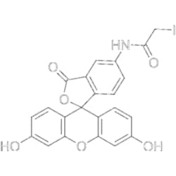 MedChemExpress 5-IAF 5 mg | Buy Online | MedChemExpress | Fisher Scientific