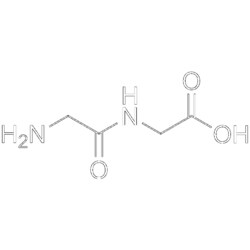 MedChemExpress Glycylglycine 5 g | Buy Online | MedChemExpress | Fisher Scientific