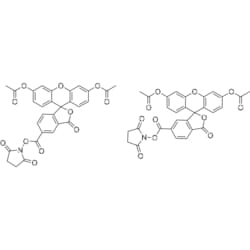 MedChemExpress CFDA-SE 10 mg | Buy Online | MedChemExpress | Fisher Scientific