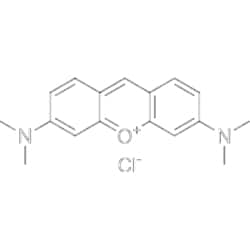 MedChemExpress Pyronin Y 100 mg | Buy Online | MedChemExpress | Fisher Scientific