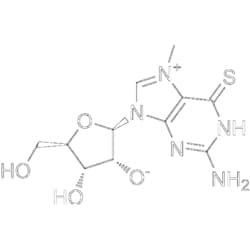 MedChemExpress 7-Methyl-6-thioguanosine 5 mg | Buy Online | MedChemExpress | Fisher Scientific