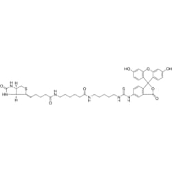 MedChemExpress Fluorescein Biotin 1 mg | Buy Online | MedChemExpress | Fisher Scientific