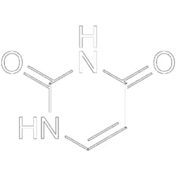 MedChemExpress Uracil 1 g | Buy Online | MedChemExpress | Fisher Scientific