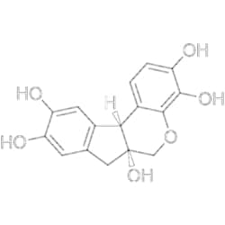 MedChemExpress Hematoxylin 1 g | Buy Online | MedChemExpress | Fisher Scientific