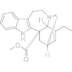 MedChemExpress Catharanthine 100 mg | Buy Online | MedChemExpress | Fisher Scientific