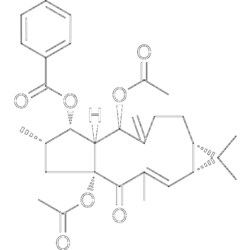 MedChemExpress 5,15-Diacetyl-3-benzoyllathyrol 5 mg | Buy Online | MedChemExpress | Fisher Scientific