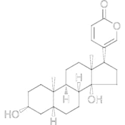 MedChemExpress Bufalin 5 mg | Buy Online | MedChemExpress | Fisher Scientific