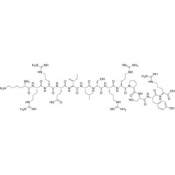 MedChemExpress CREBtide 10 mg | Buy Online | MedChemExpress | Fisher Scientific