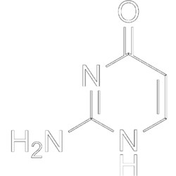 MedChemExpress Isocytosine 100 mg:Nucleic Acid Synthesis, Quantity: 100mg