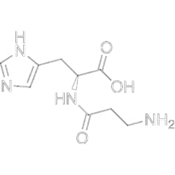 MedChemExpress L-Carnosine 100 mg | Buy Online | MedChemExpress | Fisher Scientific