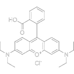 MedChemExpress Rhodamine B 100 mg | Buy Online | MedChemExpress | Fisher Scientific