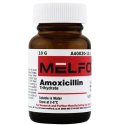 Melford Amoxicillin Trihydrate 10 g | Buy Online | Melford | Fisher Scientific