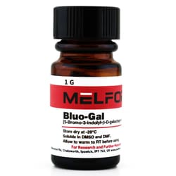 Melford Bluo-Gal