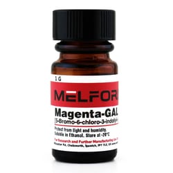 Melford Magenta-Gal