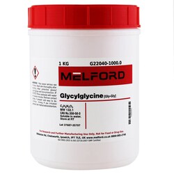 Melford Glycylglycine 1 kg | Buy Online | Melford | Fisher Scientific