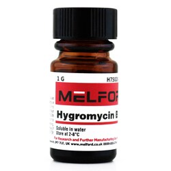 Melford Hygromycin B Powder 1 g | Buy Online | Melford | Fisher Scientific