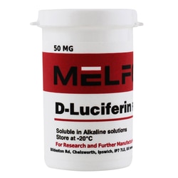 Melford D-Luciferin Free Acid