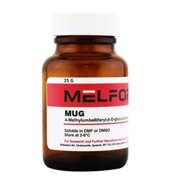 Melford MUG