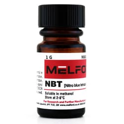 Melford NBT 1 g | Buy Online | Melford | Fisher Scientific