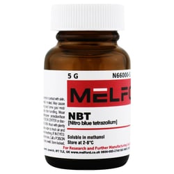 Melford NBT 5 g | Buy Online | Melford | Fisher Scientific