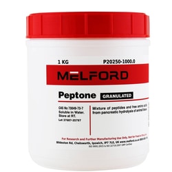 Melford Peptone, Granulated:Microbiological Media and Media Additives:Media