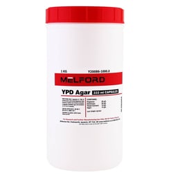 Melford YPD Agar 333ml Capsules 1 kg | Buy Online | Melford | Fisher Scientific