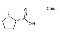 (S)-(-)-Proline, Sigma-Aldrich 100 g | Buy Online | Sigma Aldrich | Fisher Scientific