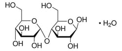 Maltose Monohydrate, Millipore 25 g | Buy Online | Millipore | Fisher Scientific